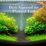 Best Aquasoil for Planted Tanks