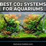 Best CO2 Systems for Aquariums