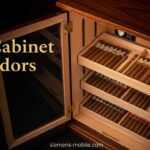 Best Cabinet Humidors