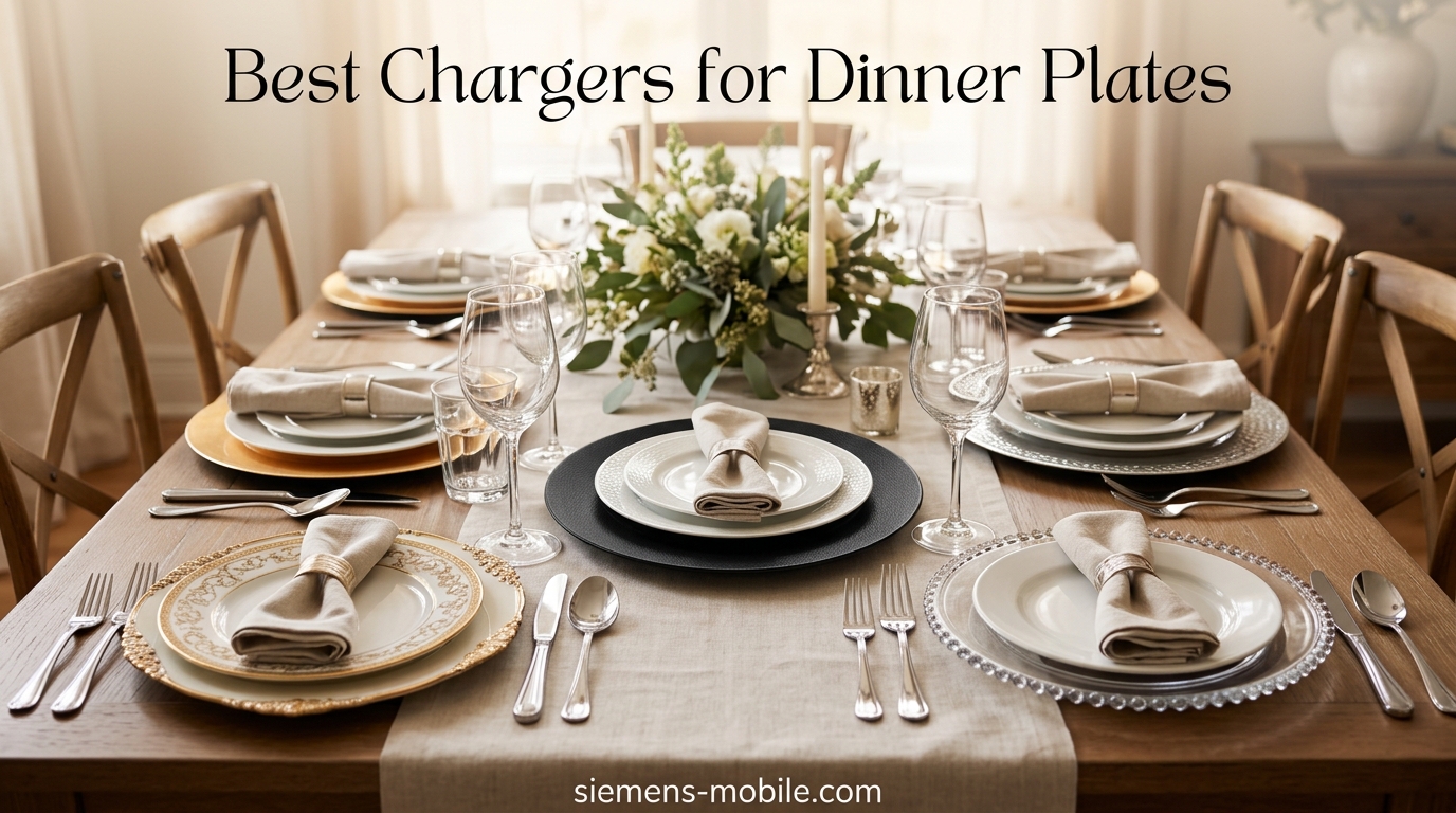 Best Chargers for Dinner Plates