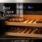 Best Cigar Coolers