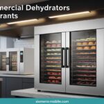 Best Commercial Dehydrators for Restaurants