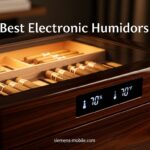 Best Electronic Humidors