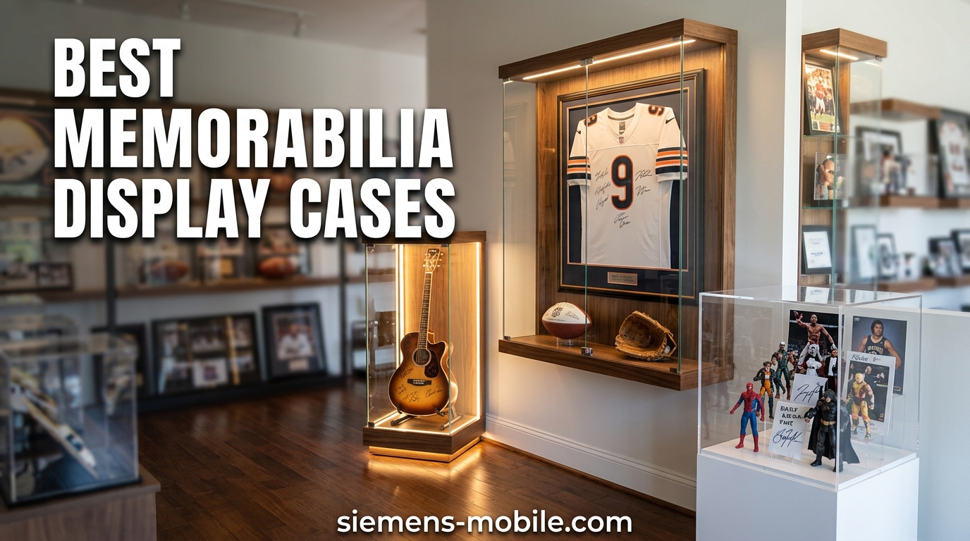 Best Memorabilia Display Cases