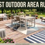 Best Outdoor Area Rugs