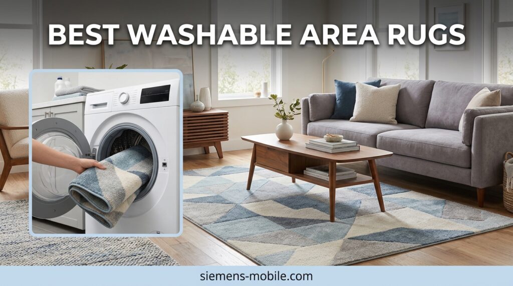 Best Washable Area Rugs