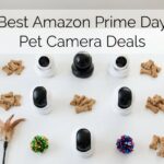 Best Amazon Prime Day Pet Camera Deals 2026