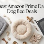 Best Amazon Prime Day Dog Bed Deals 2026