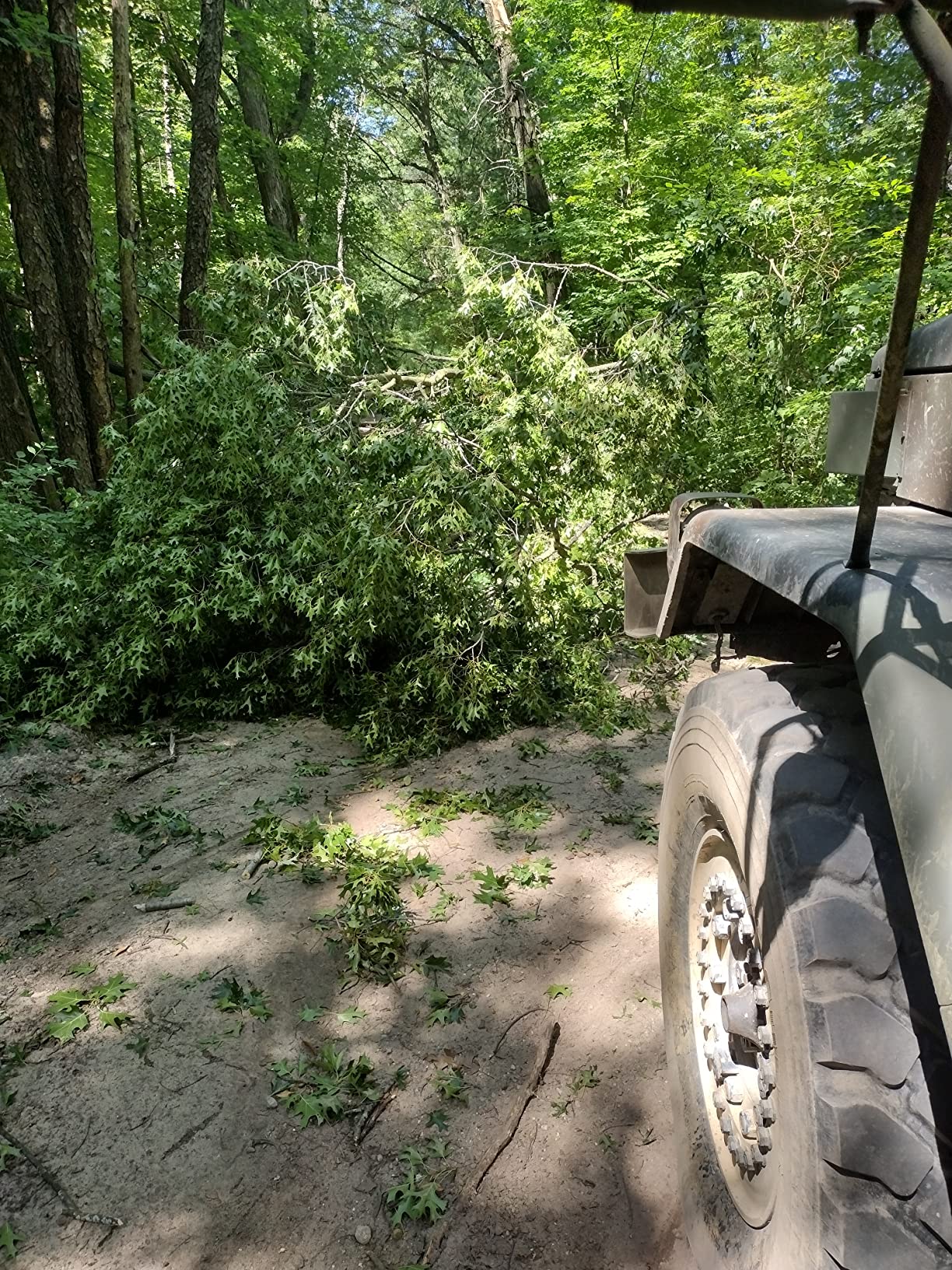 Grip 30 ft x 4 in Heavy Duty Tow Strap - Breaking Capacity: 20,000 lbs - Truck, ATV, Jeep, UTV, Tractor - Emergency, Towing, Offroad - Reinforced Looped Ends customer photo 1