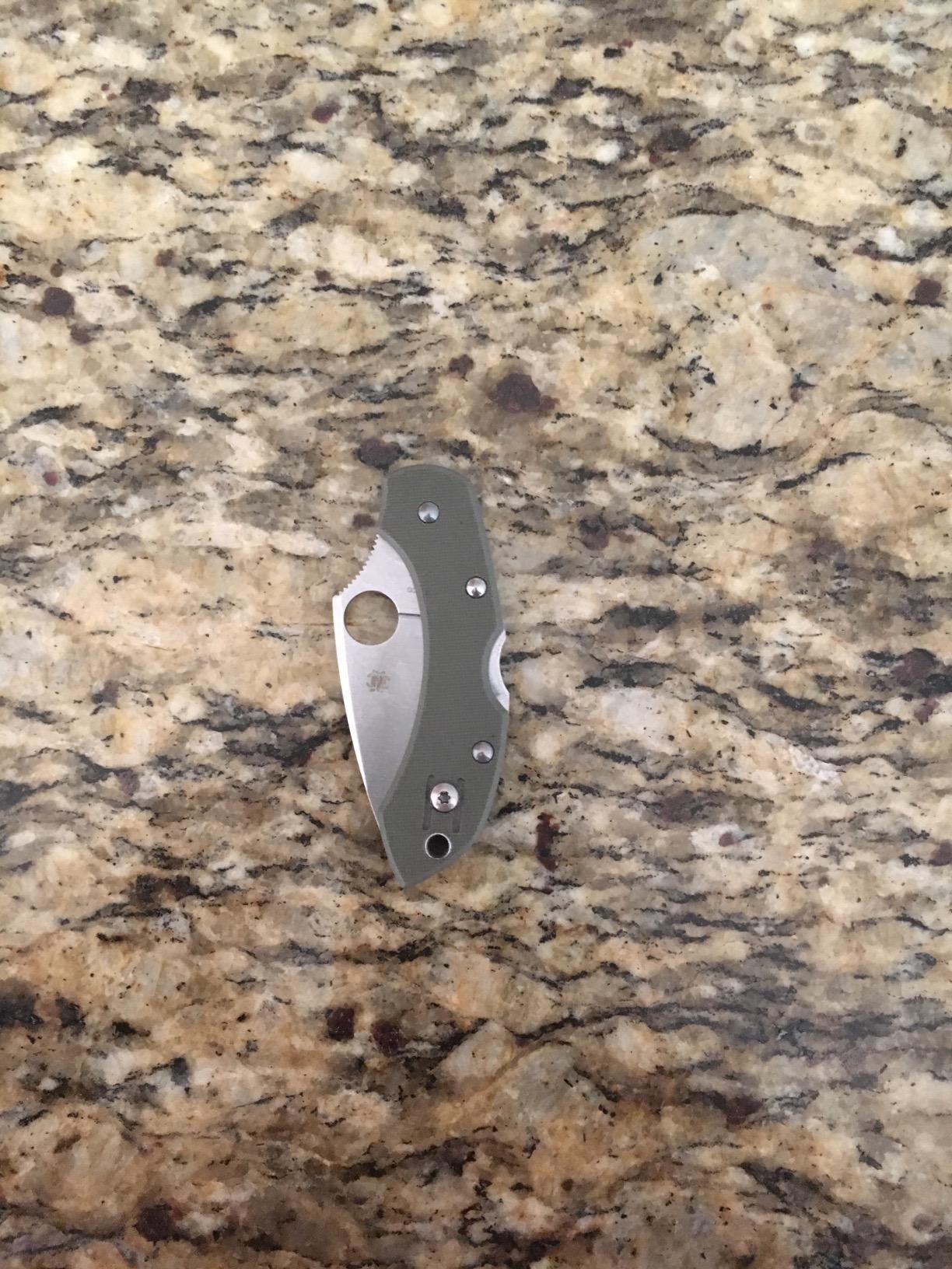 Spyderco Dragonfly Folding Pocket Knife - 2.32