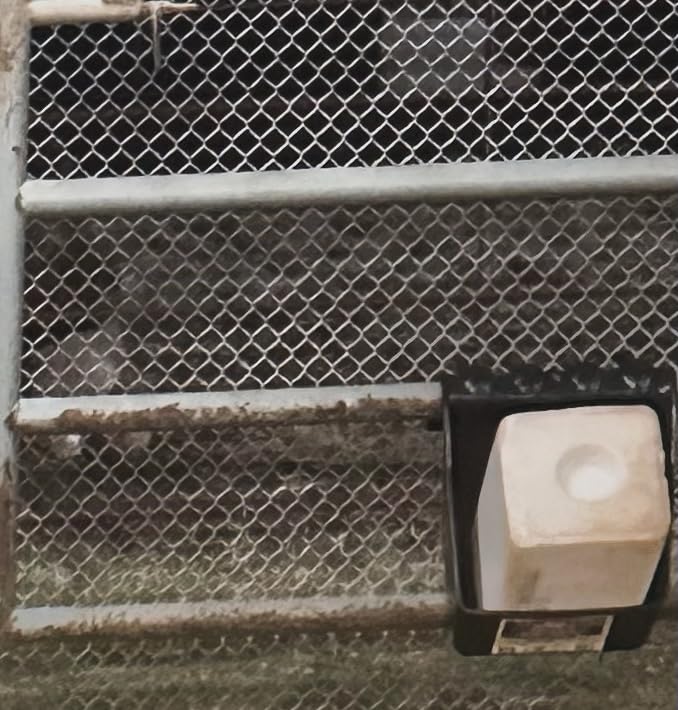 Little Giant SBPU Universal Block Holder and Feeder; Grain/Supplement Feeder for Cattle, Horses, Goats, Sheep, Alpacas & Llamas; Polypropylene Plastic, Holds 50-Lb or 6.5 Quarts, 12.63