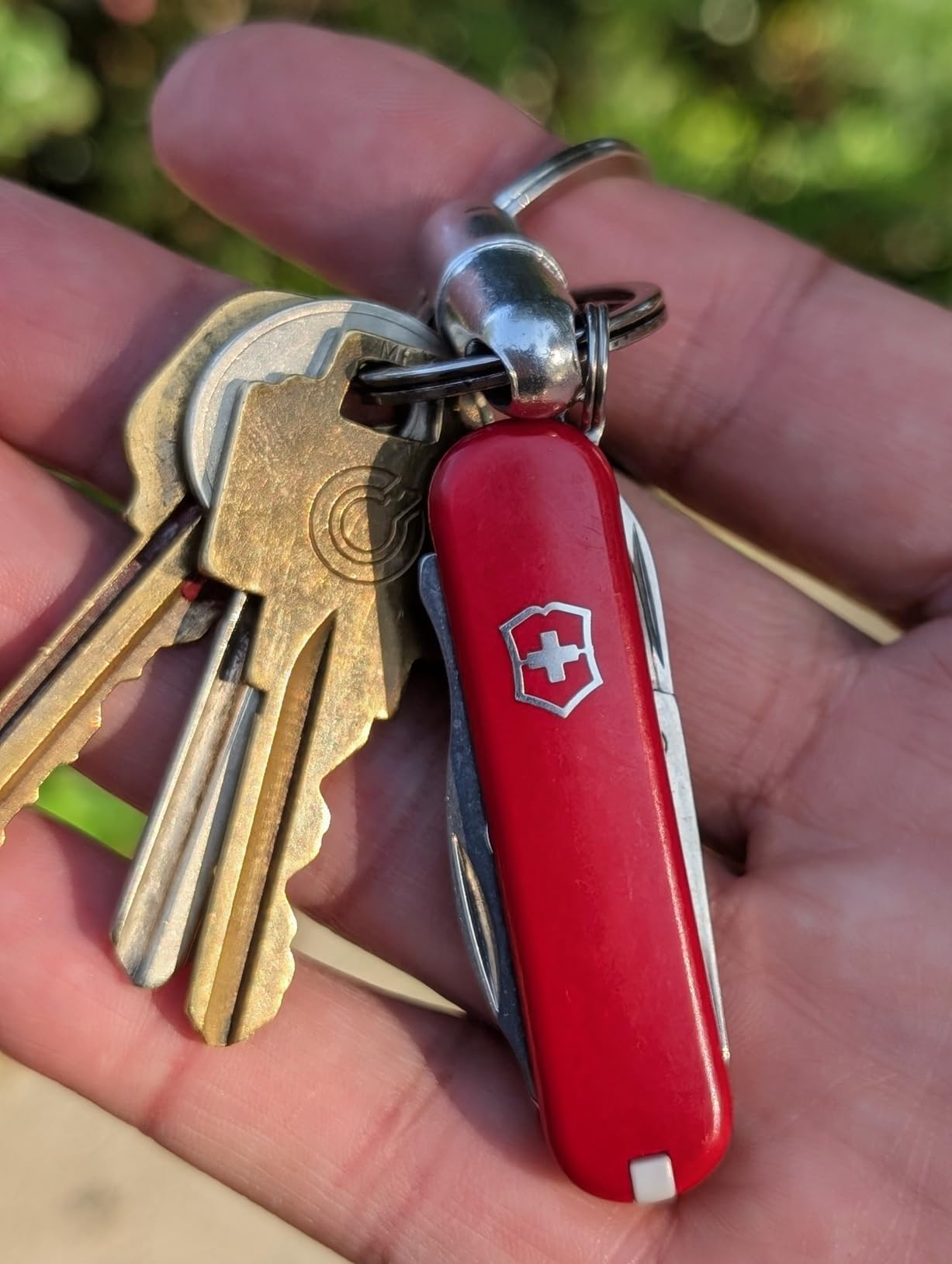 Jetsetter Swiss Army Knife, 7-Function Pocket Knife, Red | Swiss-made pocket knife, durable scales, compact EDC, travel and outdoor use customer photo 2