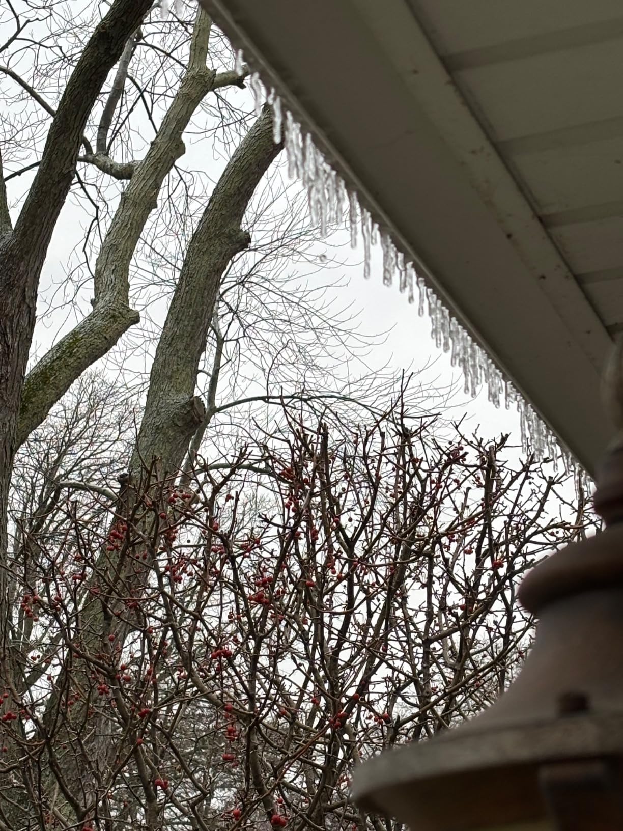 EasyOn Stainless Steel 36' Gutterguard - Fits 5