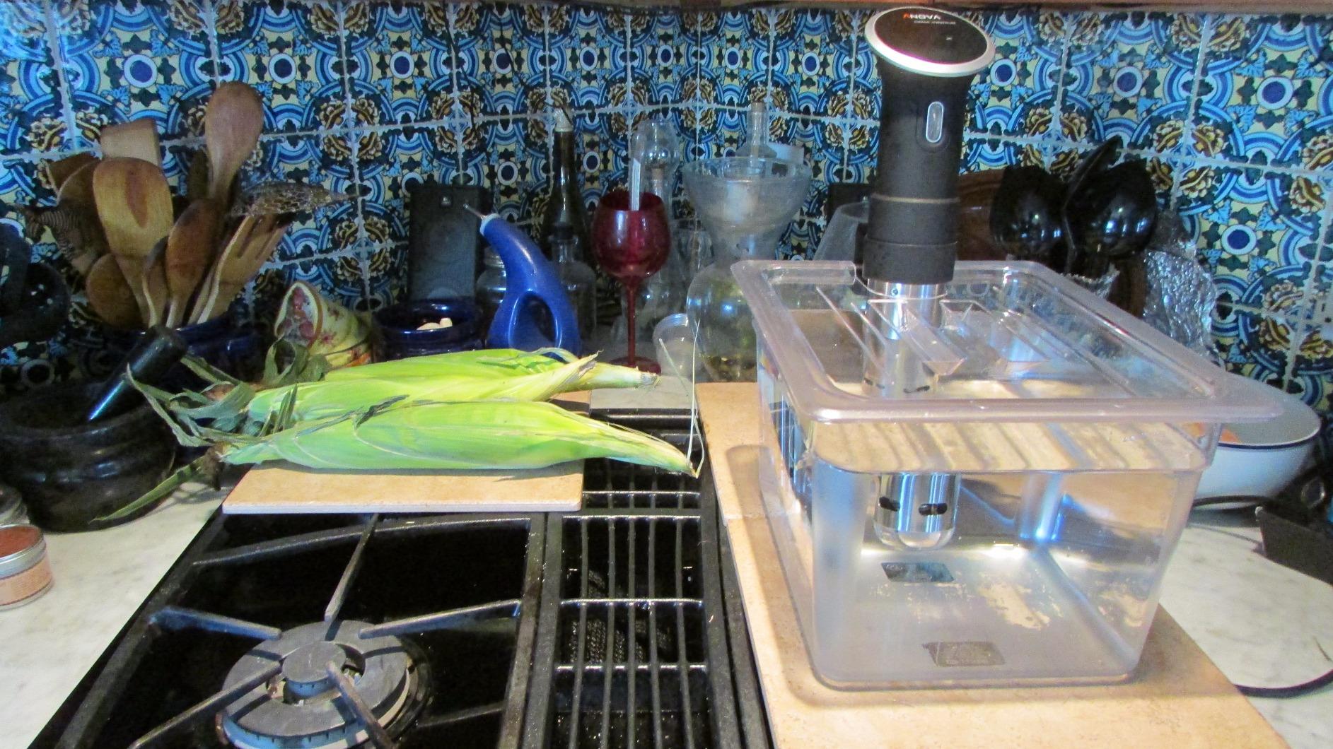 LIPAVI C15 19 Qt Sous Vide Water Bath customer photo 2