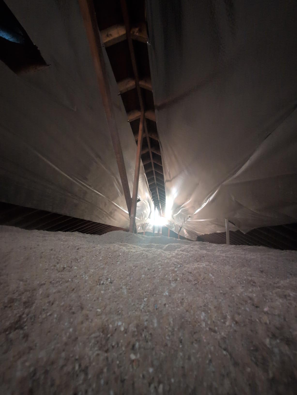 1000 sqft Diamond Radiant Barrier Solar Attic Foil Reflective Insulation 4x250 by AES customer photo 2