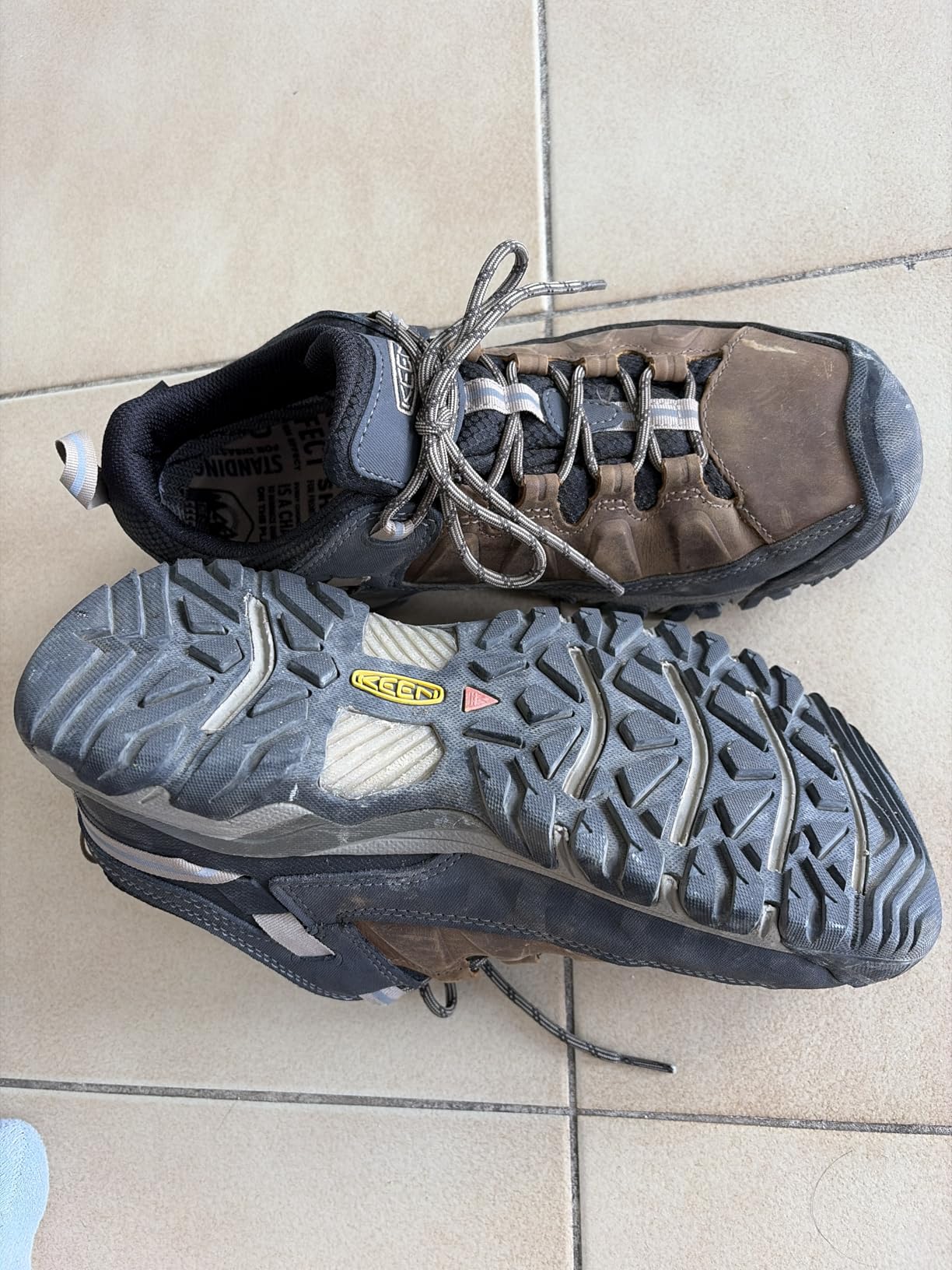 Men's Targhee 3 Low Height Waterproof Hiking Shoes customer photo 2