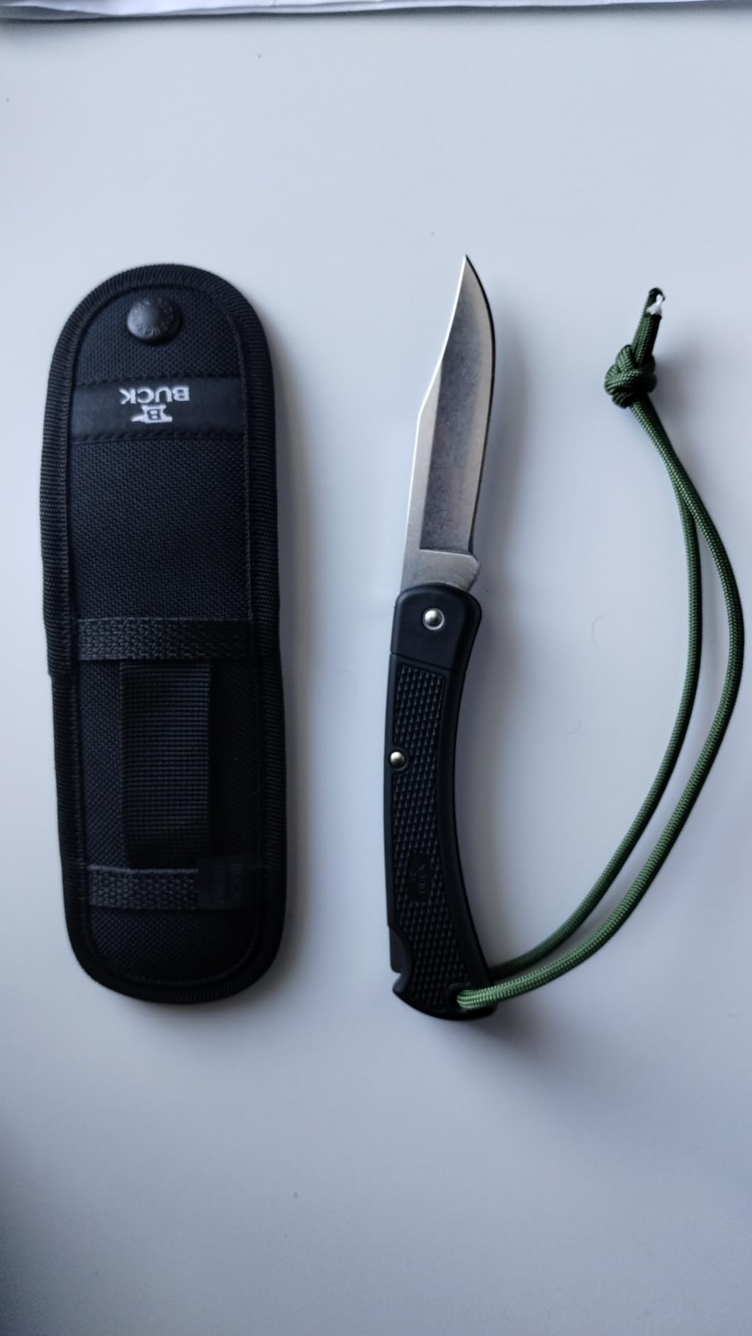 Buck Knives 110 Folding Hunter LT Knife, 3-3/4