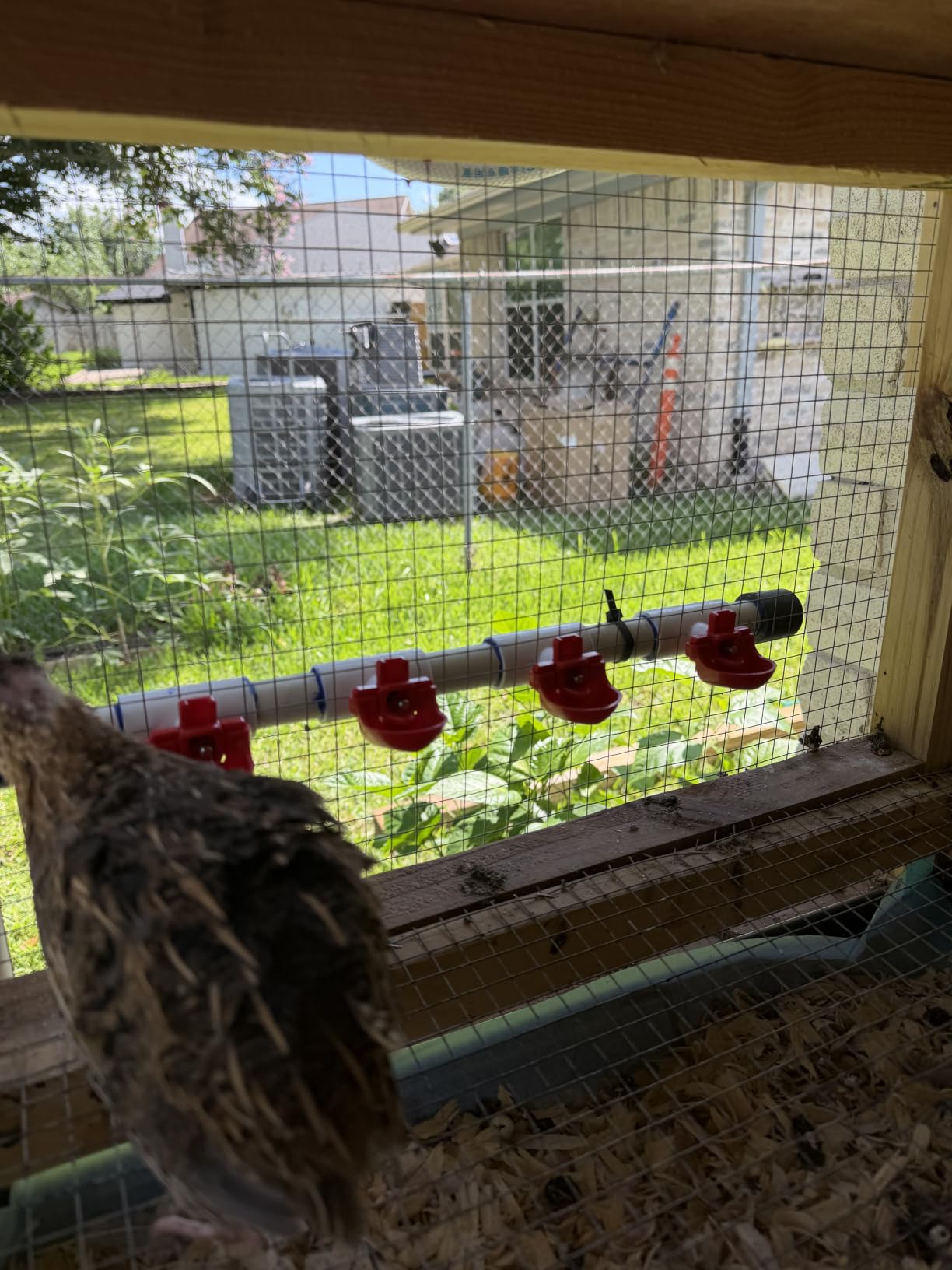 RentACoop DIY Waterer Kit - Horizontal Nipples with Dribble Dish and Installation Tool (6 Pack) customer photo 1