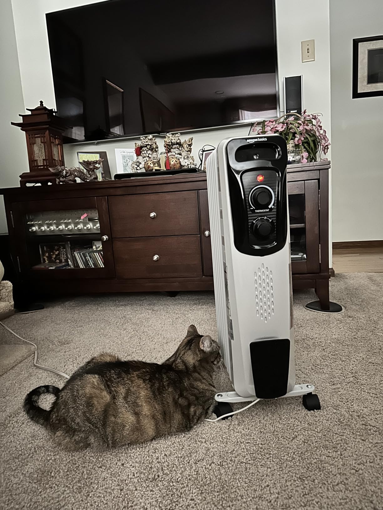 Amazon Basics Portable Oil Radiator Heater, Indoor Use, 3 Heat Settings, Over-Heat Protection, ETL-certified Safety, 7 Oil-Filled Steel Fins, 1500W customer photo 2
