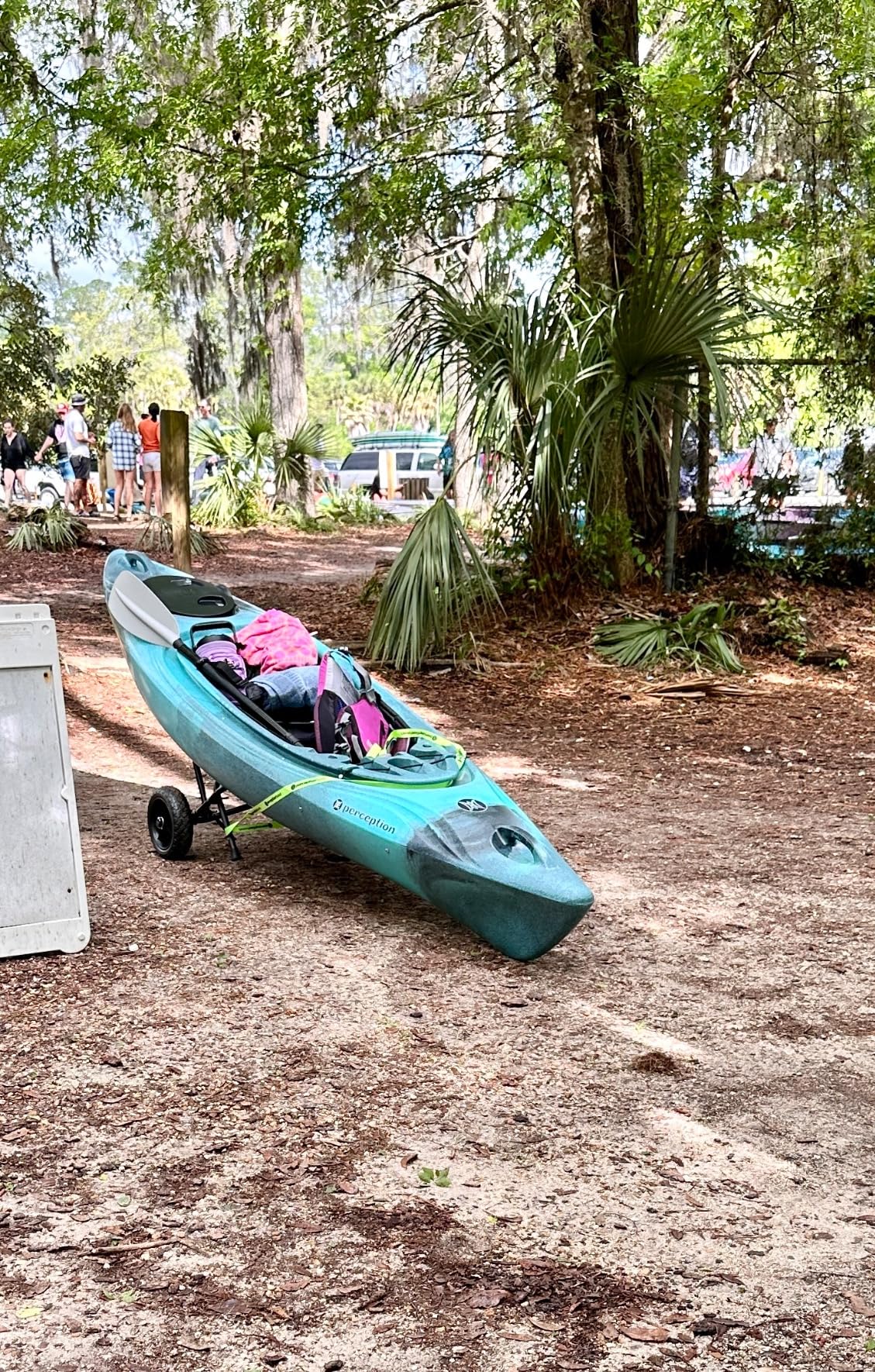 Perception Joyride - Sit Inside Kayak for Adults and Kids - Recreational and Multi-Water Kayak with Selfie Slot customer photo 1