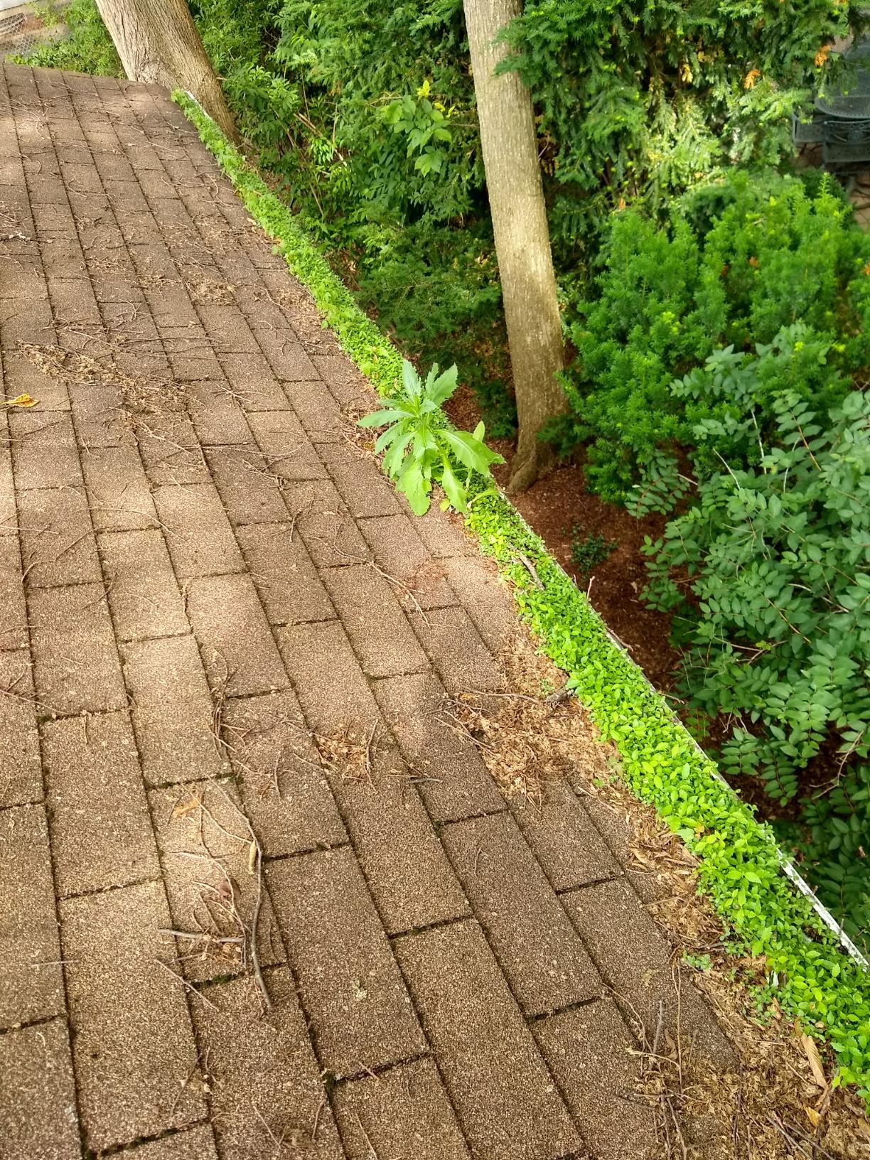 EZ Gutter Guard - 5-Inch K Style Foam Gutter Filter Insert with Year Round Leaf Protection & Easy DIY Installation - GSK532-1 customer photo 1