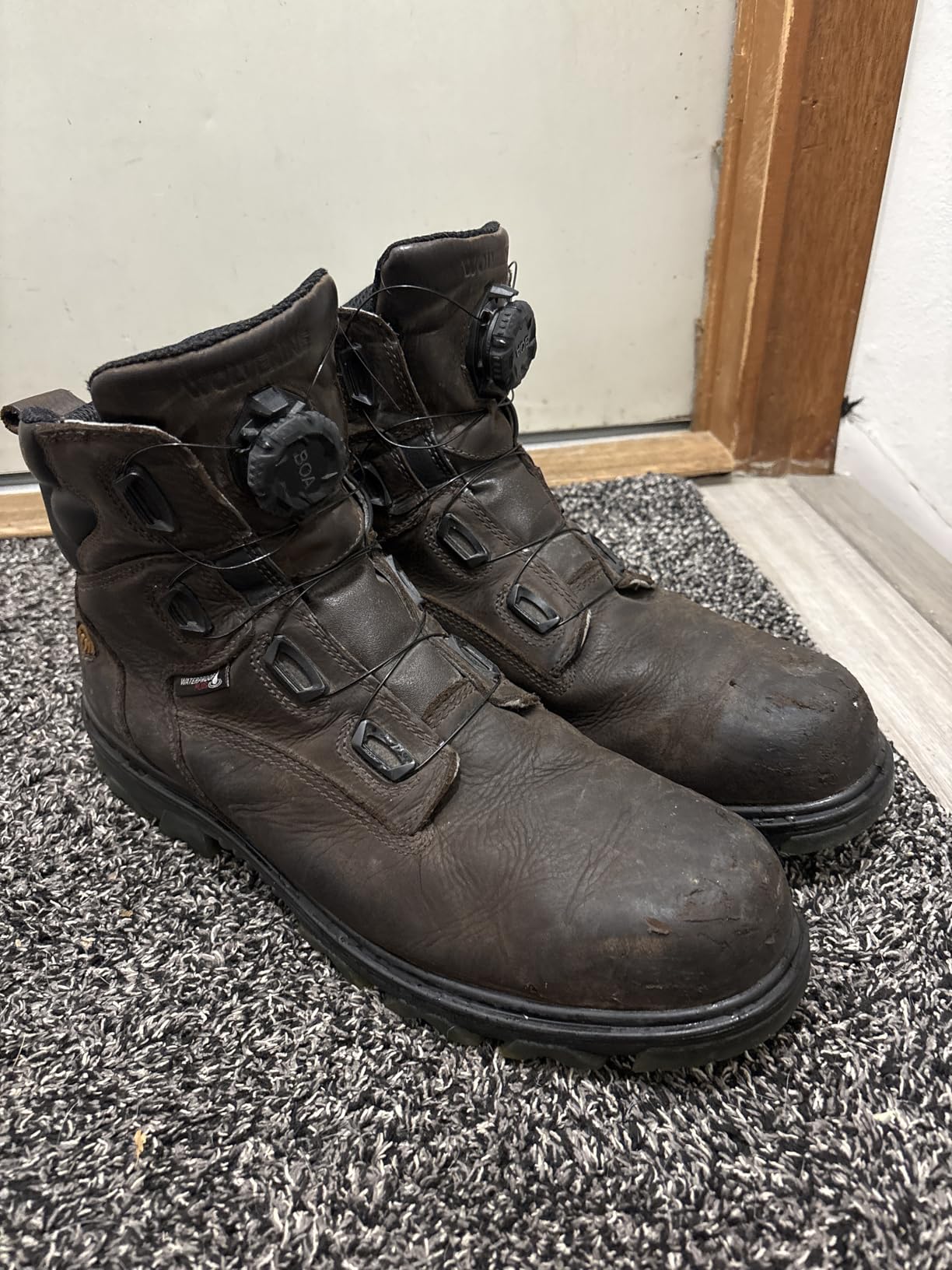 Wolverine I-90 EPX Boa CarbonMax 6