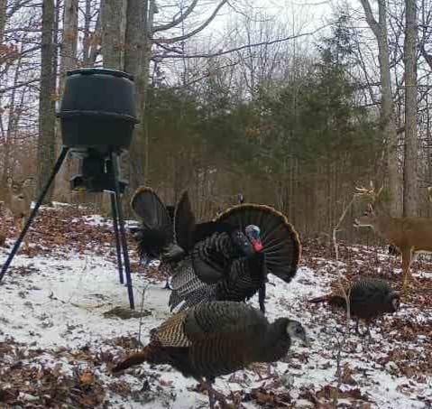 American Hunter 30-Gallon Nesting Hopper Gravity Deer Feeder - Maintenance-Free Tripod Game Feeder customer photo 1