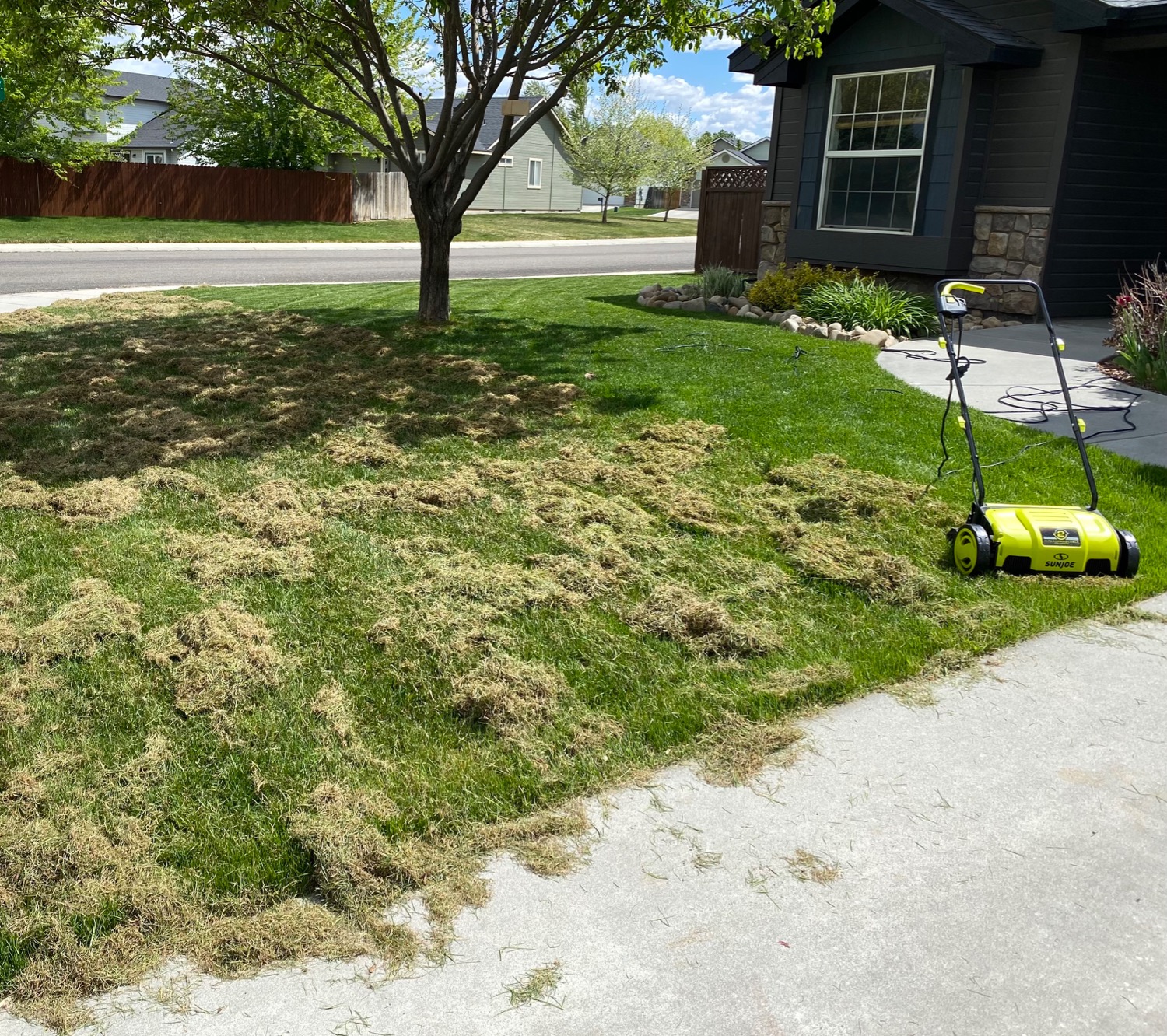 Sun Joe Corded Electric Lawn Dethatcher and Scarifier, 12-Amp, 12.6-Inch Cutting Width - Heavy-Duty Yard Trimmer and Mower Machine for Gardening Care and Maintenance, AJ798E customer photo 1