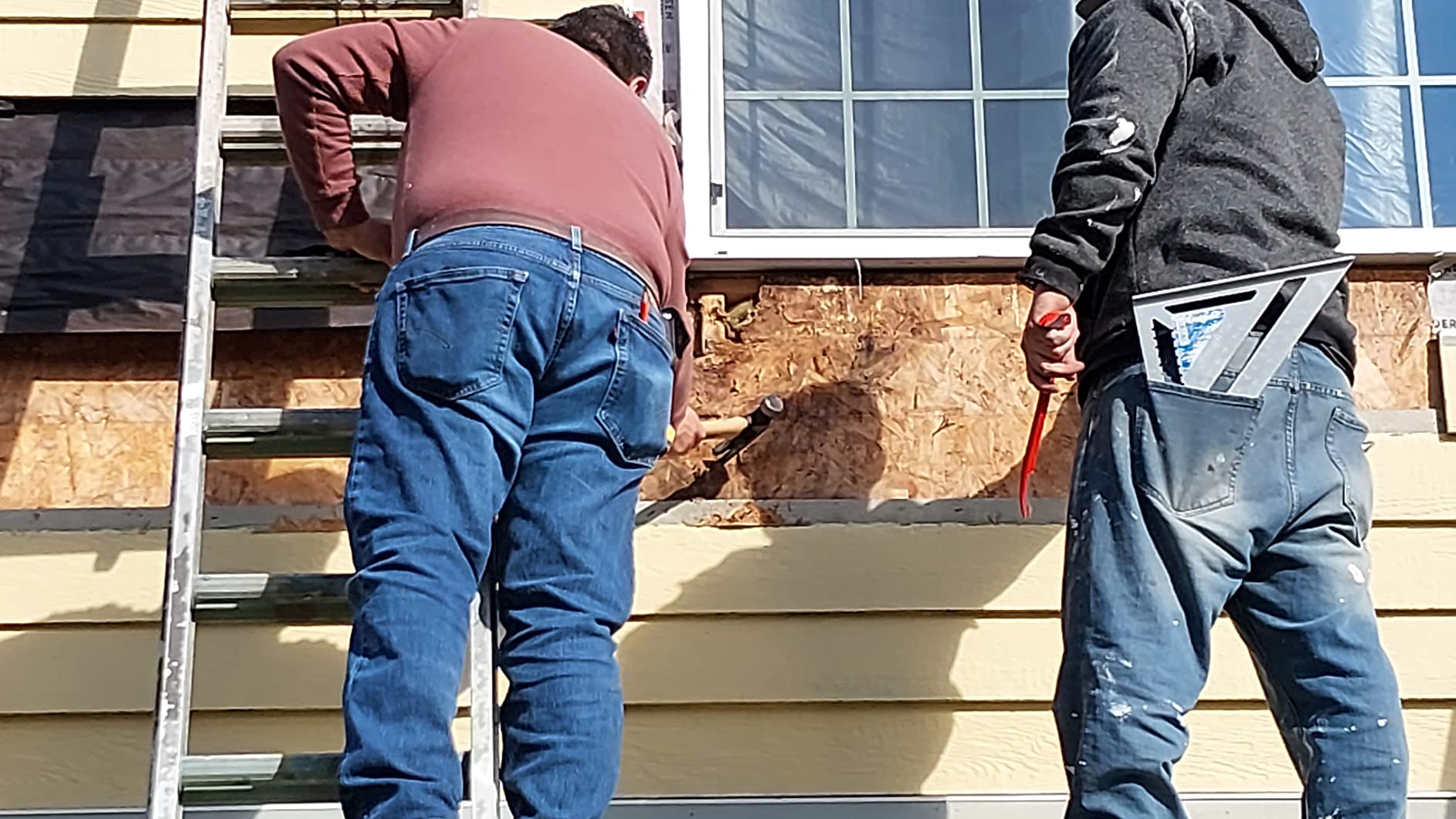 Little Giant 8-13 ft Gray Telescoping Plank, 11813 | 500 lbs. Two-Person Rated customer photo 2