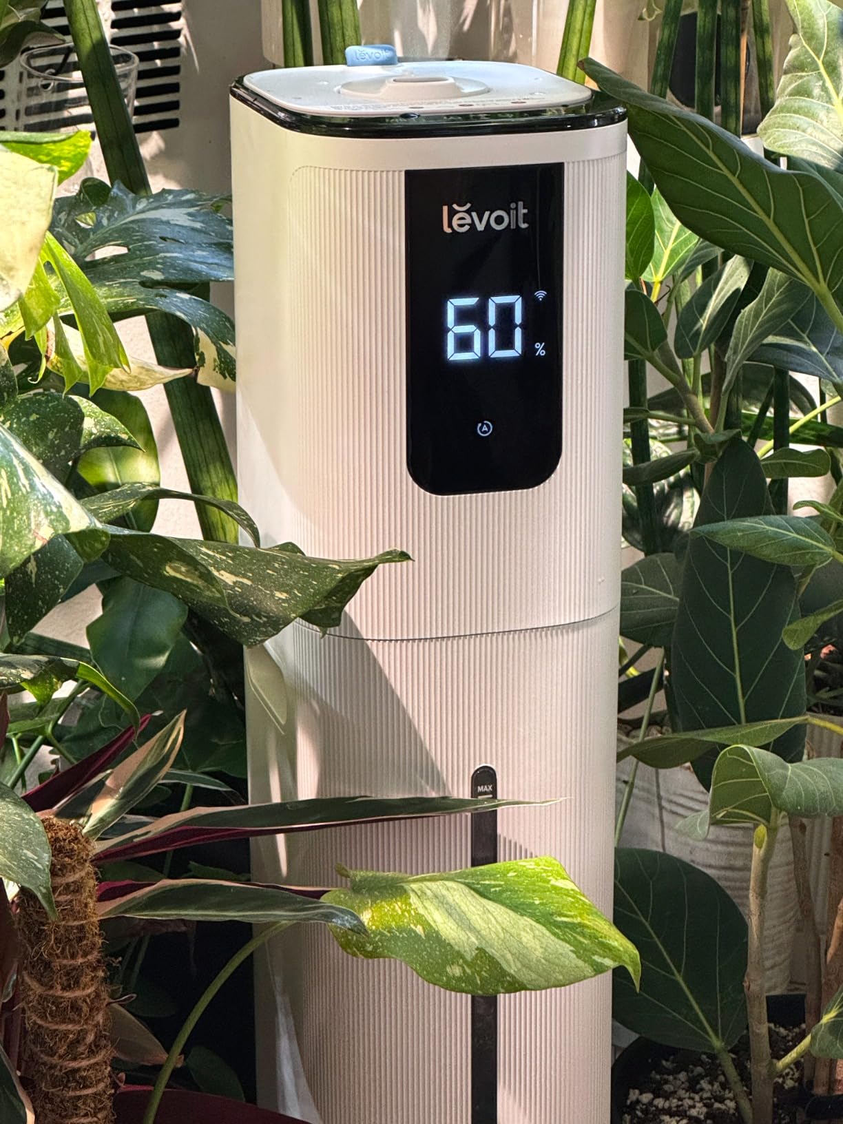LEVOIT LV600S Smart Warm and Cool Mist Humidifiers for Home Bedroom Large Room, (6L) 753ft Coverage, Quickly & Evenly Humidify Whole House, Easy Top Fill, App & Voice Control - Quiet Sleep Mode customer photo 1