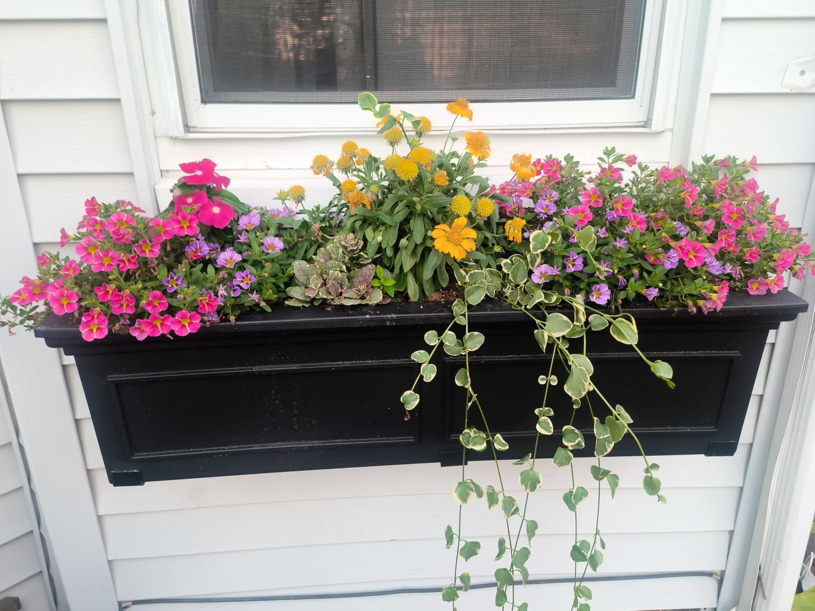 B098815WQ8 customer photo 2