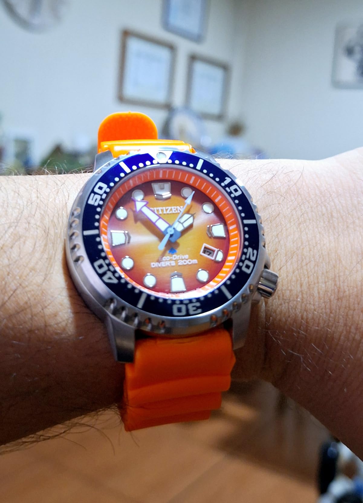 Promaster Dive Eco-Drive Watch, 3-Hand Date, ISO Certified, Luminous Hands and Markers, Rotating Bezel customer photo 1