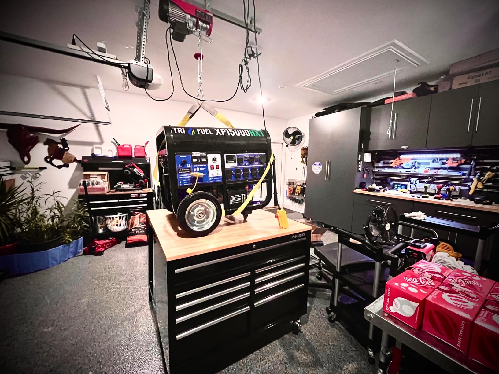 VEVOR Electric Hoist 1760lbs with 14ft Wired Remote Control, Electric Hoist 110 Volt with 40ft Single Cable Lifting Height Motor, for Garage Warehouse Factory customer photo 1