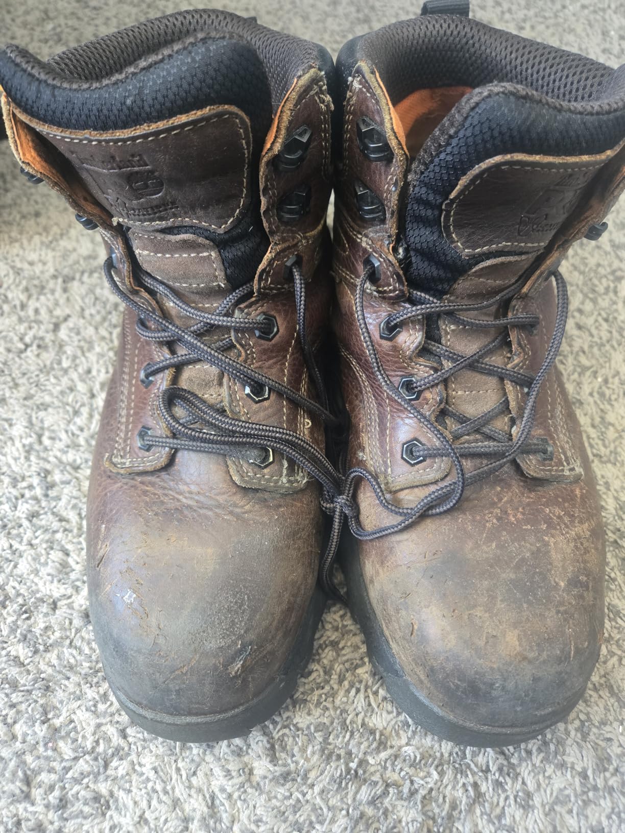 Timberland PRO Men's Titan Ev 6 Inch Composite Safety Toe Waterproof customer photo 1