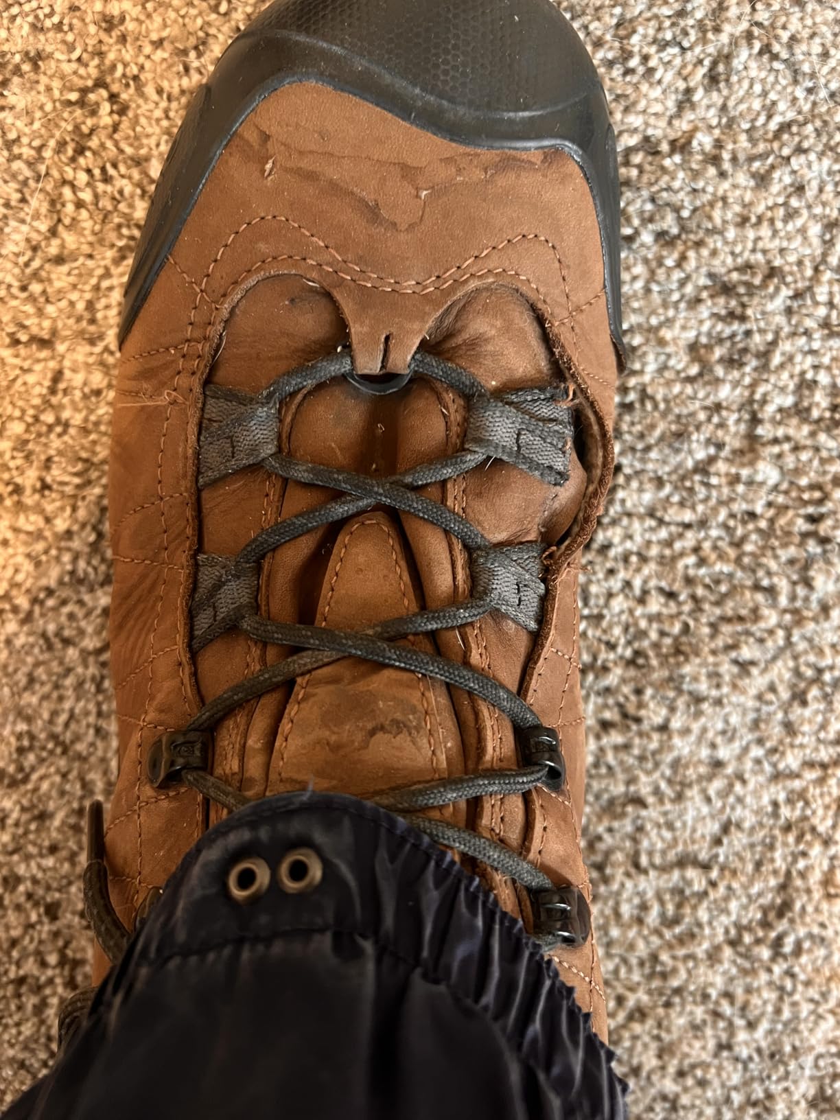 Oboz Men's Bridger 8
