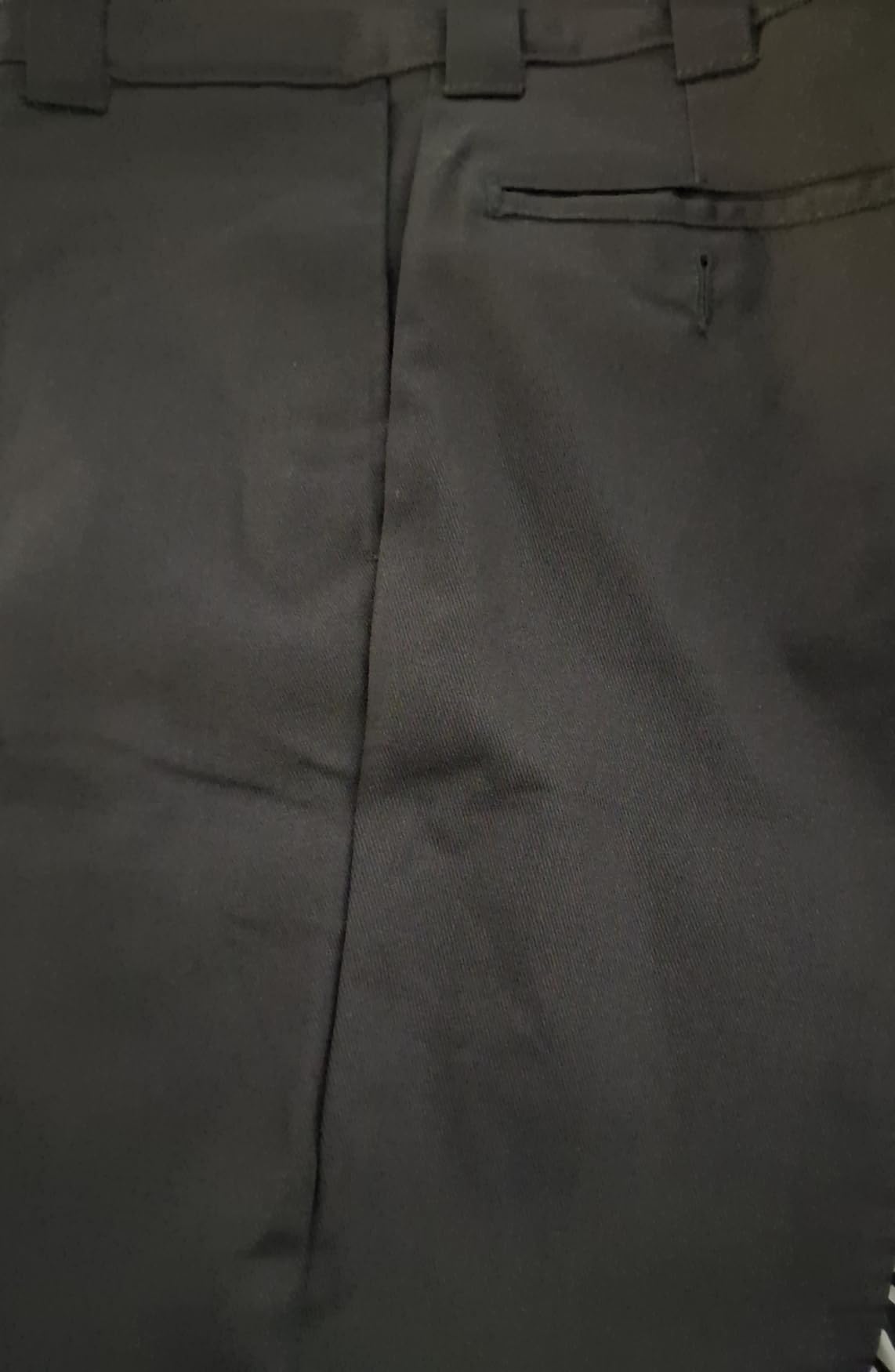 Dickies Men's 874® Flex Work Pants customer photo 2