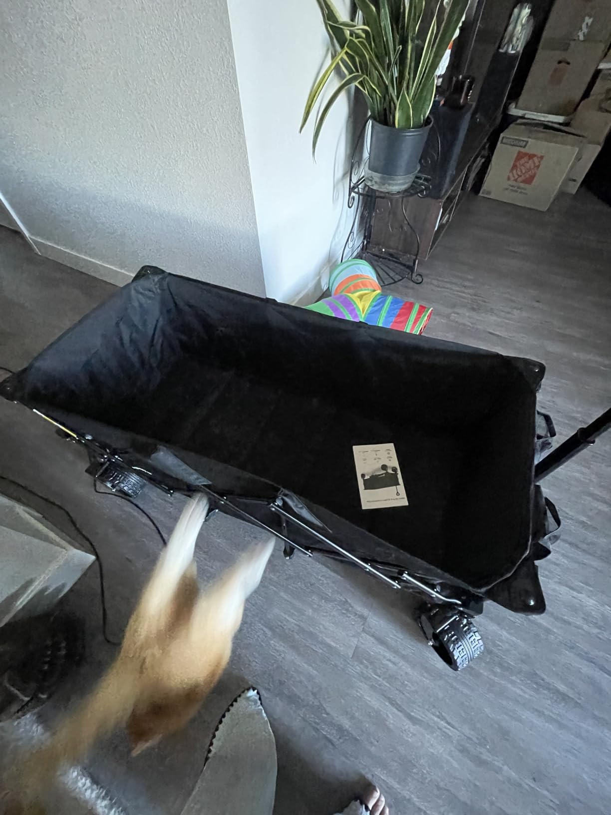 B0DPH1F6ZY customer photo 1