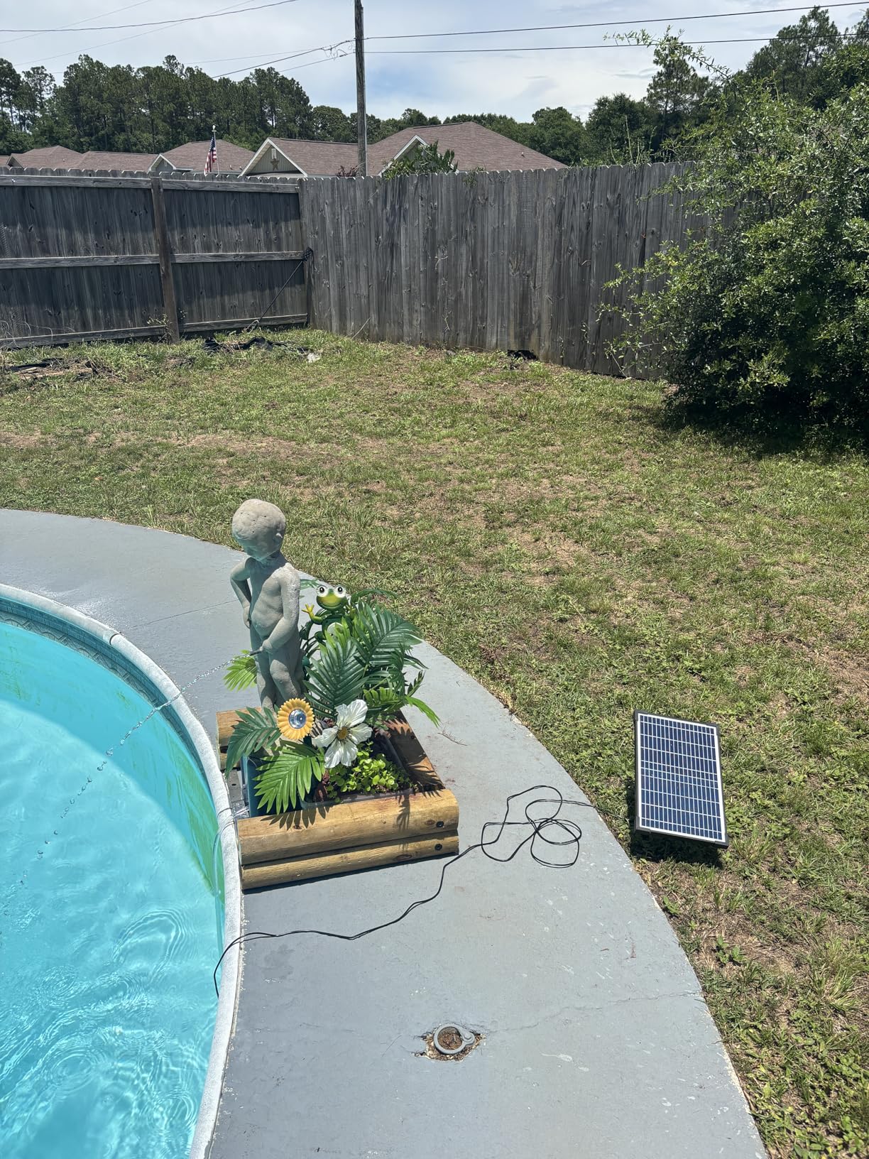 Solar Water Pump, 12W Solar Fountain Pump 160GPH Flow Adjustable Solar Powered Pond Pump with Dry-Run Protection for Fish Pond, Wildlife Garden, Ponds, Waterfall, Hydroponics P112L customer photo 2