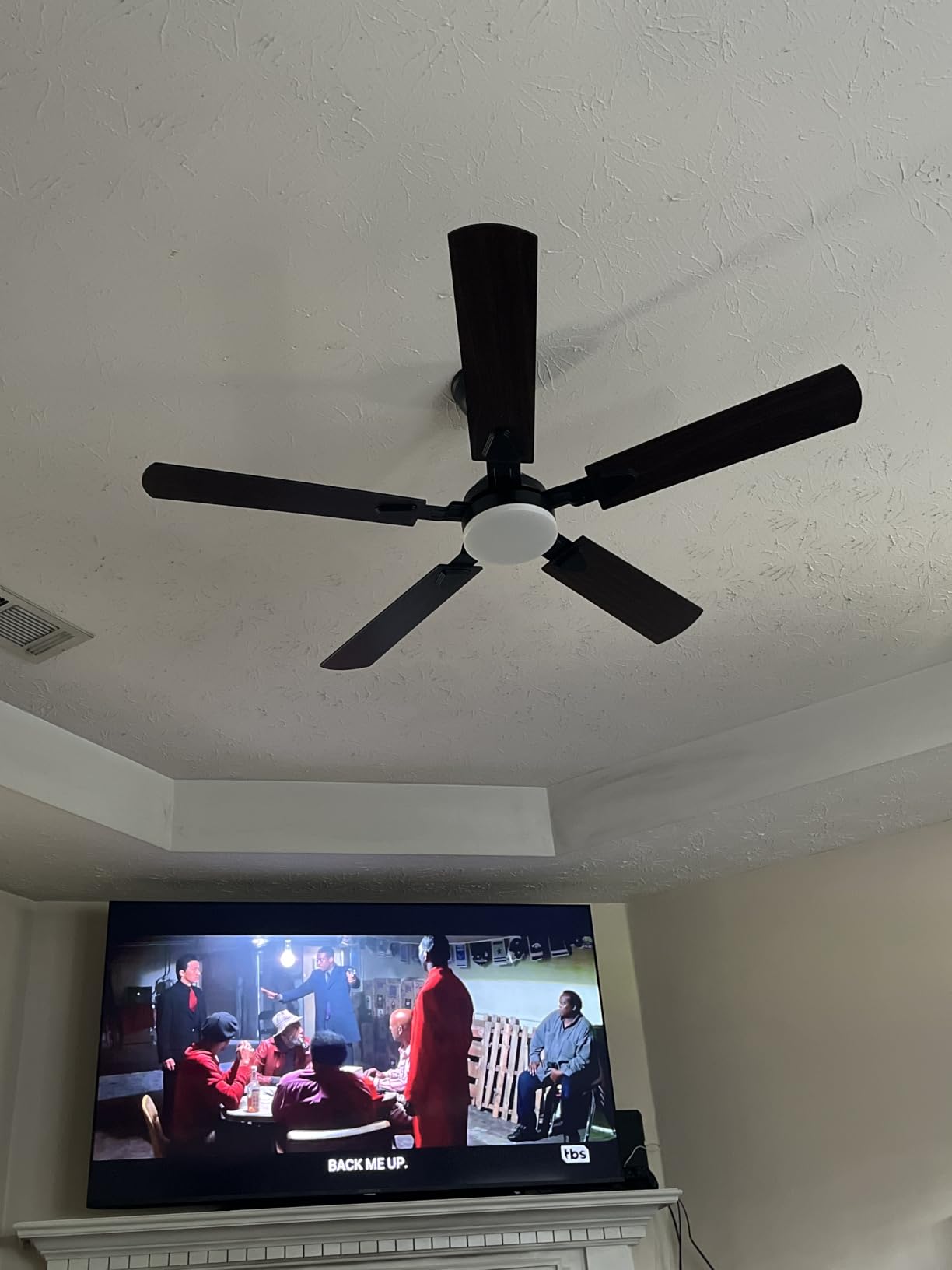 Ceiling Fans with Lights, 52 Inch Modern Ceiling Fans with Lights and Remote Control, DC Reversible Motor, Noiseless, 3CCT, Ceiling Fan for Bedroom, Living Room, Apartment Indoor/Outdoor Use customer photo 2