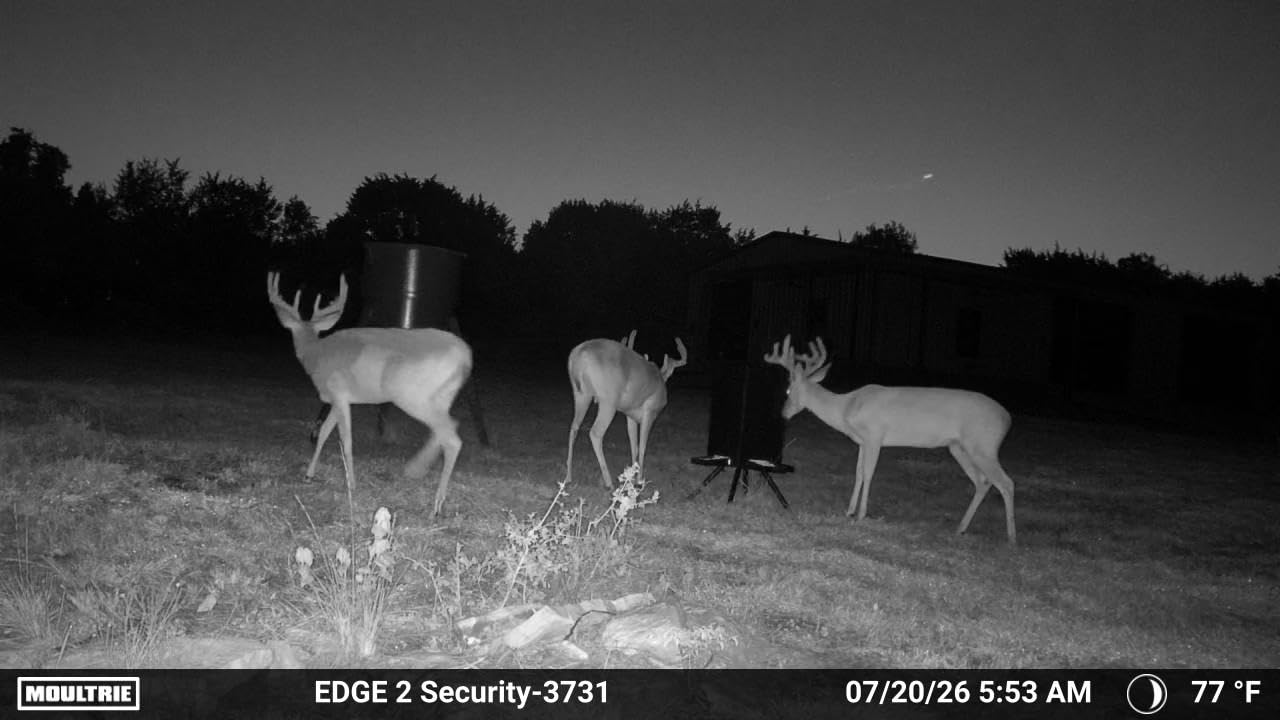 PROLEE 85lbs Deer Feeder, Weatherproof Deer Feeders with 4 Feeding Tray and 4-Leg Stand, Heavy Duty Metal Gravity Feeder for Deers and Wildlife (Black) customer photo 2