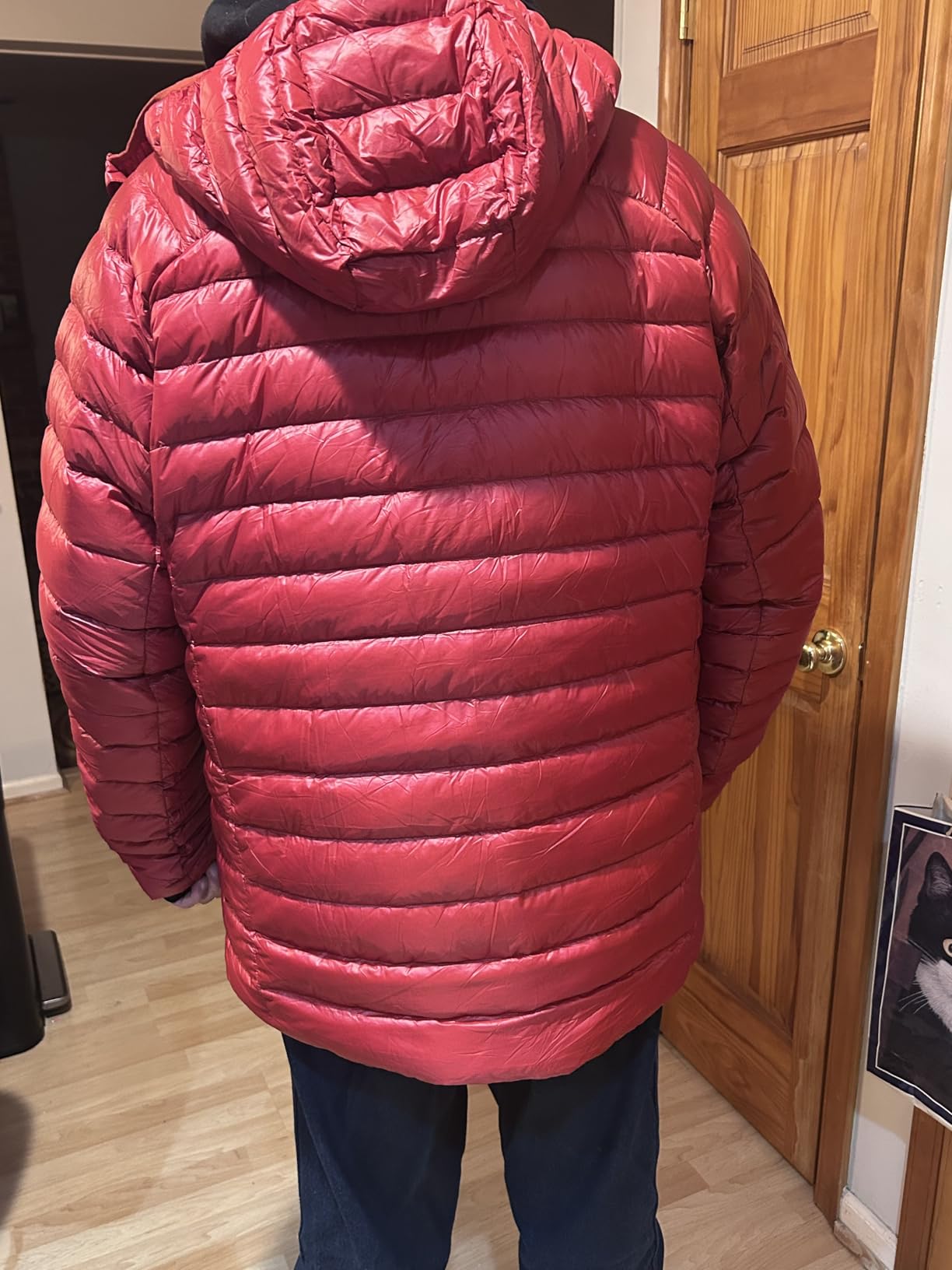 Pioneer Camp 850 Fill Goose Down Jacket Men Lightweight Packable Puffer Jacket with Hood Insulated Warm Winter Puffy Coat customer photo 1