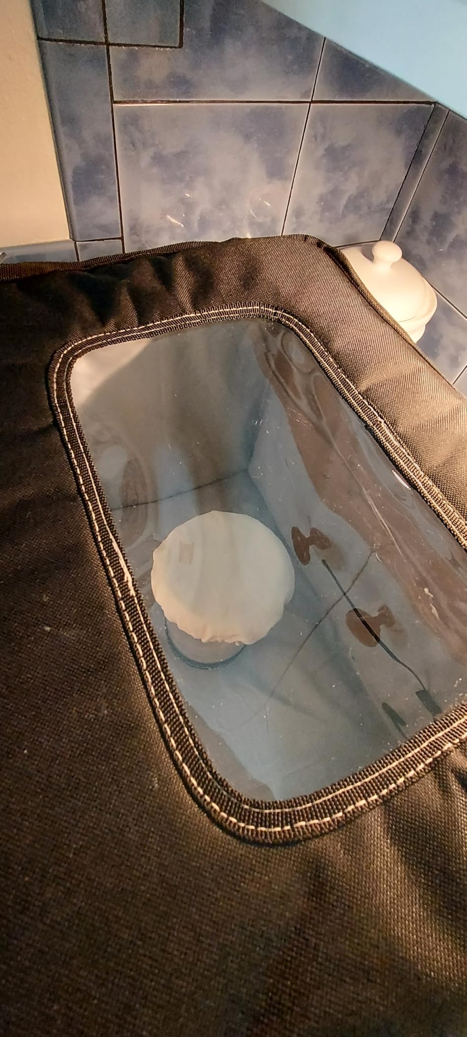 Cozy Bread Proofer | Sourdough Proofing Box with Thermostat Control, Collapsible Bread Proofer for Dough Fermentation | USA Brand customer photo 1