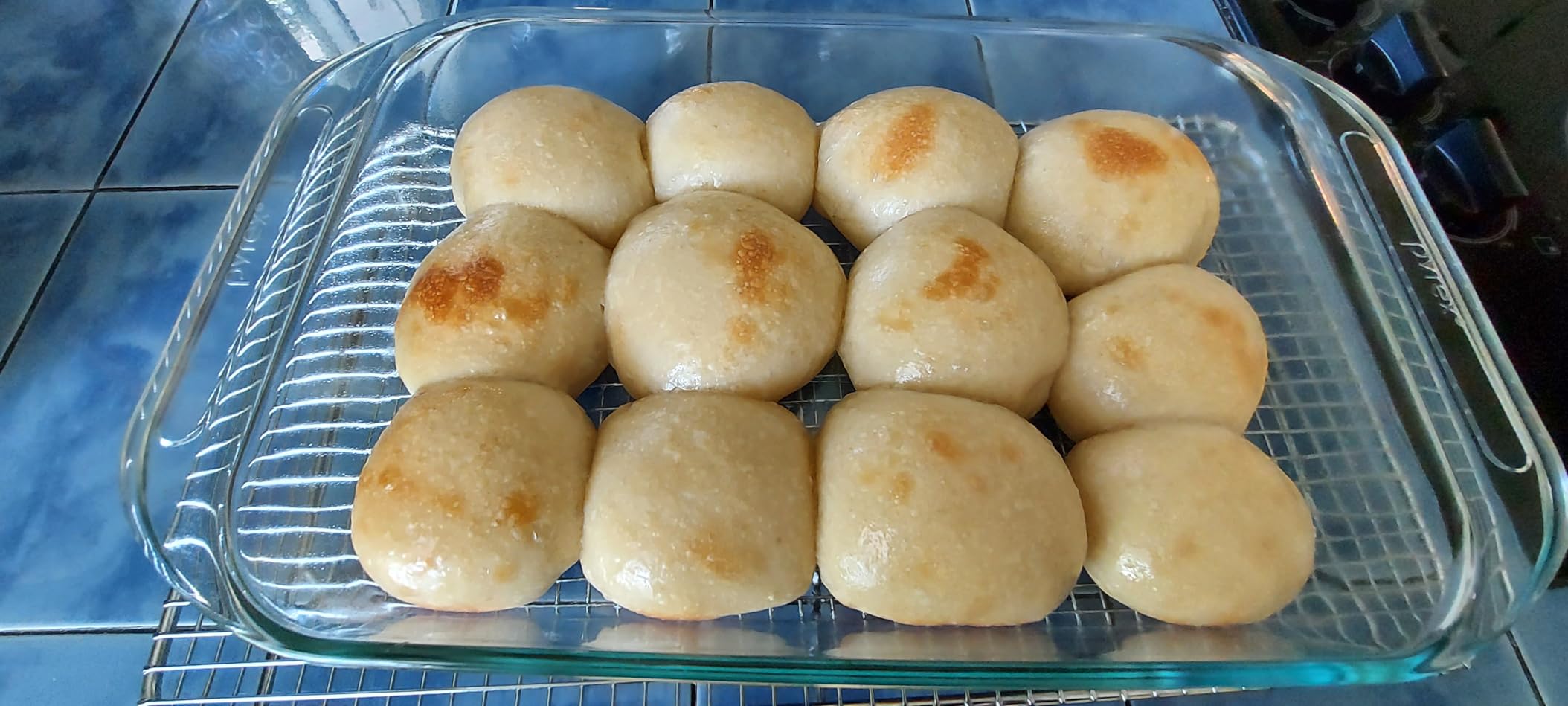 Cozy Bread Proofer | Sourdough Proofing Box with Thermostat Control, Collapsible Bread Proofer for Dough Fermentation | USA Brand customer photo 2