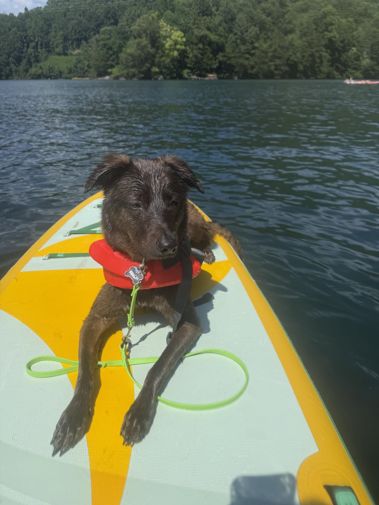 11'6/11'x35 Extra Wide Inflatable Paddle Board, 450/430lb Capacity Stand Up Paddle Board for Adults, Stable Inflatable SUP, All Skill Levels, 100L Backpack, 3PCS Paddle, 5L Dry Bag customer photo 1