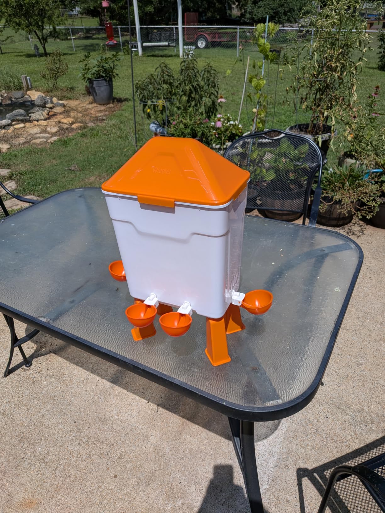Lilyang Automatic Chicken Waterer 3 Gallon, Auto Water Refill with Float Valve customer photo 2