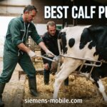 Best Calf Pullers