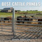 Best Cattle Panels