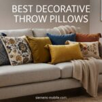 Best Decorative Throw Pillows