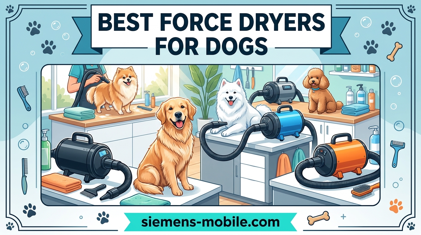 Best Force Dryers for Dogs