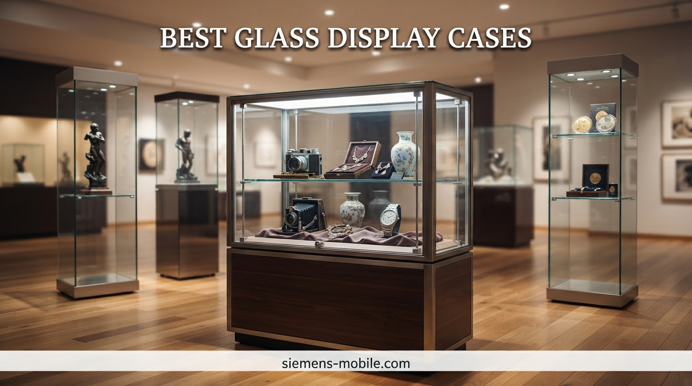 Best Glass Display Cases